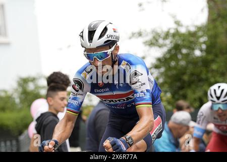 Italia. Mai 2024. Alaphilippe Julian (Team Soudal - Quickstep) während der 12. Etappe des Giro d'Italia von Martinsicuro nach Fano, Italien - Donnerstag, 16. Mai 2024 - Sport, Radfahren (Foto: Marco Alpozzi/LaPresse) Credit: LaPresse/Alamy Live News Stockfoto