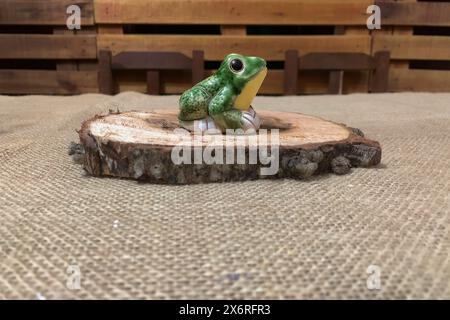 Grüner Frosch auf dem Wald. Falscher Frosch Stockfoto