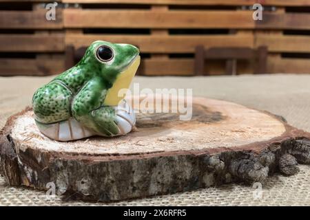 Grüner Frosch auf dem Wald. Falscher Frosch Stockfoto