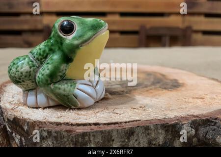 Grüner Frosch auf dem Wald. Falscher Frosch Stockfoto