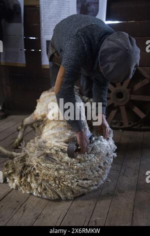 Ein Gaucho, das Schaf in der Estancia Nibepo Aike im Los Glaciarers National Park von Hand schert. Stockfoto