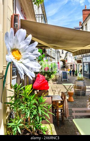 Künstliche Blumen vor dem Laden in der engen Straße - Loches, Indre-et-Loire (37), Frankreich. Stockfoto