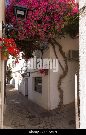 Weiß getünchte puebla-Häuser und eine Kirche aus dem 16. Jahrhundert bilden das idillische Dorf Mojacar auf einem Hügel mit Blick auf das Tal der Pyramiden Stockfoto