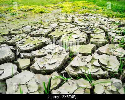 Weitwinkel-Nahaufnahme einer getrockneten und gebrochenen Schlammschicht vor einer Wiese im Sommer in Bayern. Stockfoto