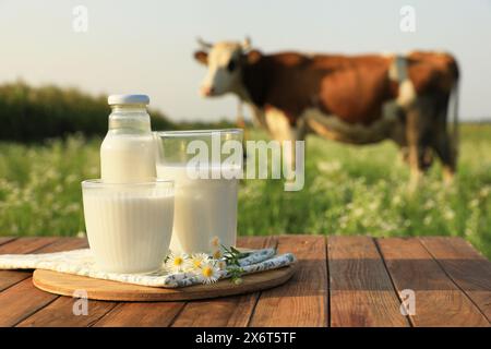 Milch mit Kamillen auf Holztisch und auf der Wiese weidende Kuh Stockfoto