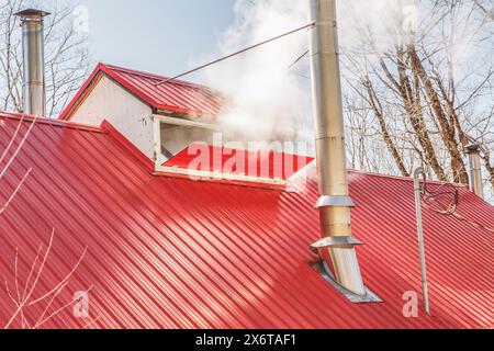 Ahornsirup Zuckerhütte im Wald zur Ahornsaison Stockfoto