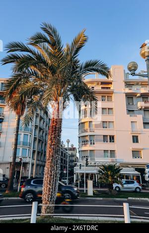 Nizza, Frankreich - 19. November 2023 : Gebäude und Palmen an der Promenade des Anglais in Nizza Stockfoto