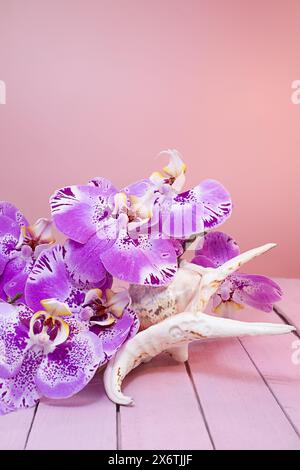 Lila riesige Orchideen mit großer weißer Muschel auf rosa Holzbrettern. Romantisch, Reise, Spa. Vertikal. Kopierbereich Stockfoto