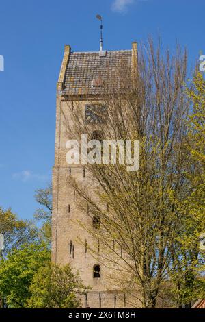 Ein Glockenturm thront über jungen, im Sonnenlicht blühenden Bäumen, historischen Häusern und einer Kirche mit kleinen Gassen und Laternen, Nes, Ameland Stockfoto