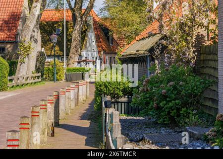 Ein traditionelles Dorf mit sonnendurchfluteten Häusern und Bäumen entlang einer Straße im Frühling, historische Häuser in einem kleinen Dorf mit kleinen Straßen und Bäumen in Stockfoto