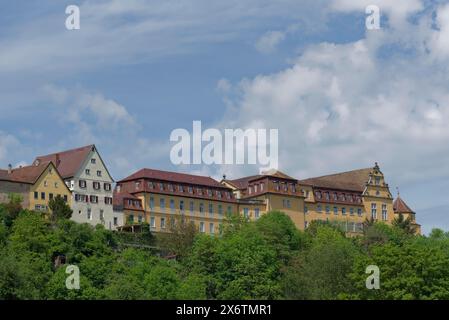 Blick auf die Altstadt und das Schloss in Kirchberg an der Jagst, Jagsttal, Jagststeig, Schwäbische Halle, Hohenlohe, Heilbronn-Franken Stockfoto