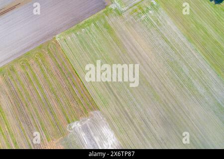 Zenithale Drohnenansicht landwirtschaftlicher Felder im Frühling Stockfoto