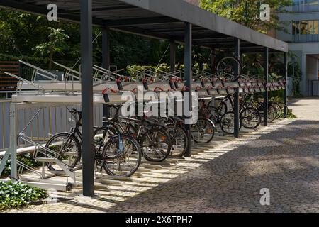 Breslau, Polen - 4. August 2023: Eine Gruppe von Fahrrädern parkt an einem sonnigen Tag ordentlich auf einem ausgewiesenen Parkplatz, bereit für die Rückkehr der Fahrer. Stockfoto