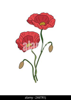 Mohnblumenfarbene Umrisszeichnung auf weiß Stock Vektor