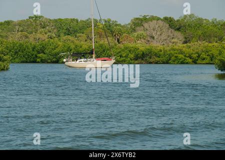 Mittlerer Winkel von weißem Segelboot hinten mit grünen Mangroven an der Seite und blauen und weißen Wolken über dem Kopf. In Clam Bayou Gulfport, FL. Blaues Wasser Stockfoto