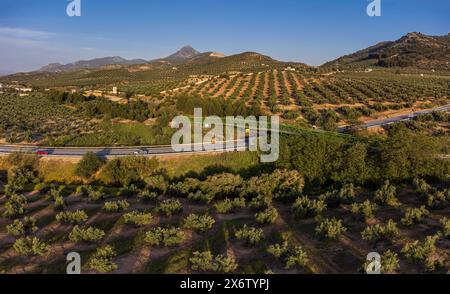 Metallbrücke über den Olivenhain, Greenway of Oil Natural Trail, Alcaudete, Provinz Jaén, Andalusien, Spanien. Stockfoto