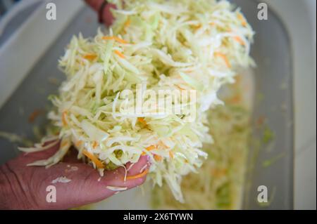 Nahaufnahme der Hände eines Küchenmannes, der rohen, frisch gehackten Kohl mischt, würzt und gesunden veganen Salat zubereitet Stockfoto
