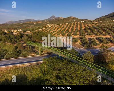 Metallbrücke über den Olivenhain, Greenway of Oil Natural Trail, Alcaudete, Provinz Jaén, Andalusien, Spanien. Stockfoto