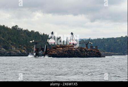 Hercules III., ein großer selbstkippender Holzkahn, transportiert Fracht durch die Straße von Georgia, British Columbia, Kanada Stockfoto