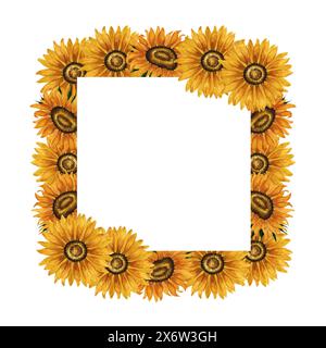 Sonnenblumenrahmen in Wasserfarben. Quadratischer Rahmen mit gelben Blumen. Sommerliche Blumenkomposition. Herbstblumen Arrangement handgezeichnete botanische Illustration Stockfoto