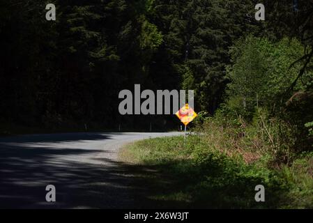 Ein Schild, das den Einsatz von Holzfällern auf einer Straße zwischen Lake Cowichan und Port Renfrew in British Columbia, Kanada, warnt, wurde beschädigt. Stockfoto