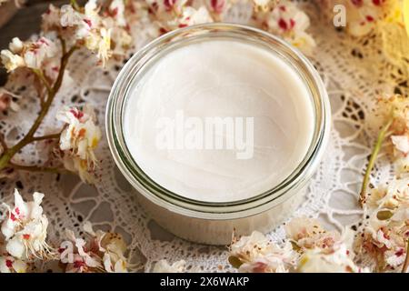 Hausgemachte Rosskastaniencreme in einem Glasgefäß auf einem Tisch mit Freh Aesculus hippocastanum-Blüten, die im Frühjahr geerntet wurden Stockfoto