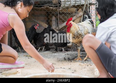 Zwei Latina-Bauernmädchen füttern die Hühner im Hühnerstall Stockfoto