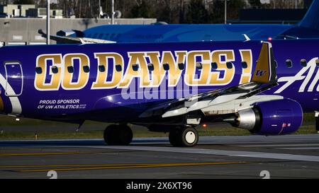 Everett, WA, USA - 21. Februar 2024; Alaska Airlines Horizon Air Embraer ERJ175 in Go Dawgs UW Lackregistrierung N662QX auf der KPAE-Landebahn in Nahaufnahme Stockfoto