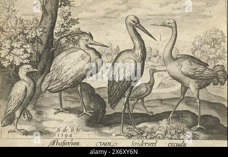Storch, Kran, Reiher und Löffelschnabel, Vögel und Insekten (Serientitel), Druck, Druckerei: Nicolaes de Bruyn, (erwähnt auf Objekt), nach eigenem Entwurf von: Nicolaes de Bruyn, Verlag: Assuerus van Londerseel, (erwähnt auf Objekt), Antwerpen, 1594, Papier, Gravur, Höhe, 85 mm x Breite, 126 mm Stockfoto