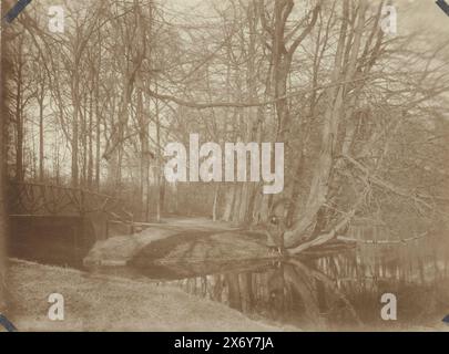 Blick in den Haager Wald, Foto, Anonym, Niederlande, 1923, fotografischer Träger, Höhe, 83 mm x Breite, 114 mm Stockfoto