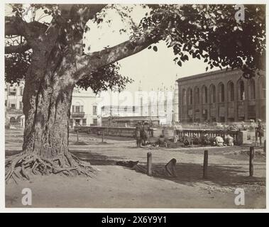 Straßenblick mit Tipu Sultan Shahi Moschee und dem Imperial Hotel, Kolkata, Westbengalen, Indien, Teil des Reisealbums mit Aufnahmen von Sehenswürdigkeiten in Indien, Deutschland, der Schweiz und Frankreich., Foto, anonym, Kalkutta, ca. 1865 - ca. 1875, fotografischer Träger, Albumendruck, Höhe, 177 mm x Breite, 226 mm Stockfoto