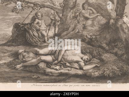 Narcissus and Echo, Narcissus metamorphosé en fleur qui porte son nom (Titel über Objekt), Print, Print Maker: Gérard Audran, Print Maker: Benoît Audran (I), Print Maker: Jean Audran, Print Maker: France, Print Maker: France, Print Maker: France, Publisher: Paris, 1650 - 1756, Papier, Gravieren, Ätzen, Höhe, 317 mm x Breite, 465 mm Stockfoto