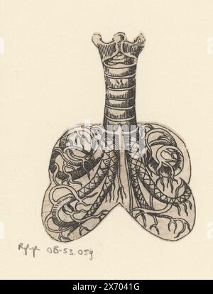Querschnitt von Luftröhre und Lunge, Druck wurde um die Außenkanten des Bildes abgeschnitten., Druck, Druckerei: Lucas Kilian, 1589 - 1637, Papier, Ätzen, Höhe, 66 mm x Breite, 50 mm Stockfoto