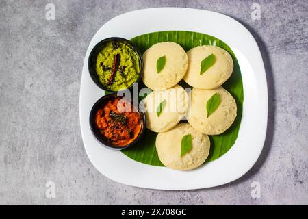 Selektiver Fokus auf das berühmte südindische Essen „Idli vada“ mit Sambar und Chatney. Stockfoto