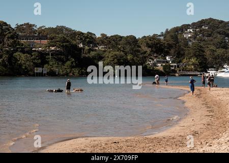 Wohnanlagen mit Blick auf Bayview Dog Park, Rowland Reserve, Bayview, Sydney. Stockfoto