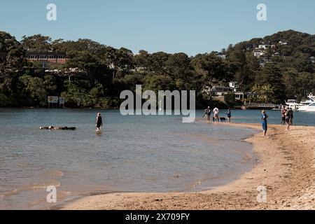 Wohnanlagen mit Blick auf Bayview Dog Park, Rowland Reserve, Bayview, Sydney. Stockfoto