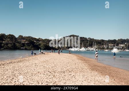 Wohnanlagen mit Blick auf Bayview Dog Park, Rowland Reserve, Bayview, Sydney. Stockfoto