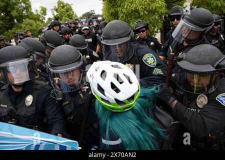 Man sieht, wie ein Demonstrant gewaltsam von schwammigen Offizieren entfernt wird, als sie beginnen, das Lager der Demonstranten zu überfallen. Beamte zahlreicher Polizeibehörden im Orange County, Kalifornien, wurden auf den Campus der University of California (UC) Irvine gerufen, um ein wachsendes palästinensisches Lager zu räumen, das das Zentrum der Universität übernahm. Die Studenten verbarrikadierten sich in einen Kreis und befestigten ihren Umkreis mit Holzpaletten und anderen Gegenständen, um die Behörden fernzuhalten. Insgesamt wurden 50 Demonstranten verhaftet, wobei das Lager vollständig von Polizeibeamten überholt wurde. (Foto von J Stockfoto