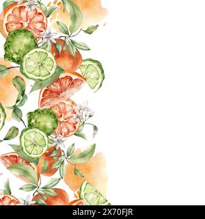 Bergamotte und Grapefruit Zitrusfrüchte mit Jasminblüten auf Aquarellflecken isoliert. Grenze der Sommerpflanzen mit hellorange-grüner Schale in bo Stockfoto