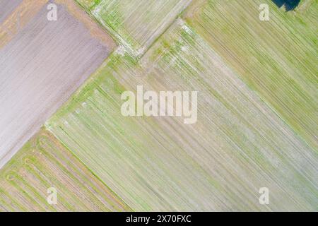 Dröhnensicht auf landwirtschaftliche Felder im Frühjahr Stockfoto