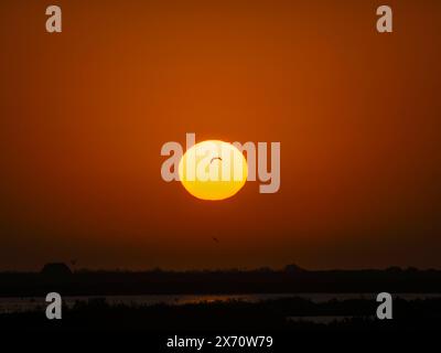 Wunderschöner Sonnenaufgangs- oder Sonnenunterganghimmel mit Sonnenhintergrund. Verschwommener Meeresboden bei Sonnenuntergang, abstrakter natürlicher Hintergrund und Bewegungsunschärfe, Panoramablick auf Stockfoto