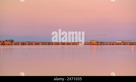 Wintersonnenuntergang mit ruhigem Meer und einigen Vögeln, die über die Fangar-Bucht fliegen, im Ebro-Delta (Tarragona, Katalonien, Spanien) Stockfoto