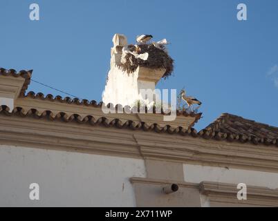 Storchennest, in dem verworfene Kunststofffolien verwendet wurden. Auf dem Dach der Kapelle in Olhão, Algarve, Portugal. Plastik und Tierwelt. Stockfoto