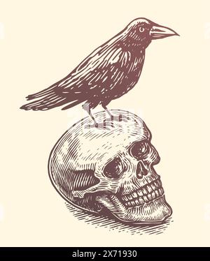 Raven, Krähe sitzt auf menschlichem Schädel. Handgezeichnete Vektorgrafik. Illustration des Skizzenvektors Stock Vektor