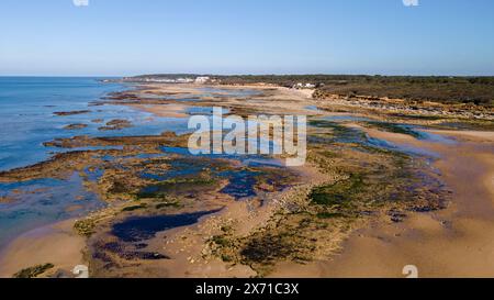 Le Veillon Beach, Talmont-Saint-Hilaire, Vendee (85), Pays de la Loire Region, Frankreich Stockfoto