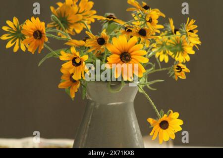 Schwarzäugige Susan/Coneflower in einer Vase Stockfoto