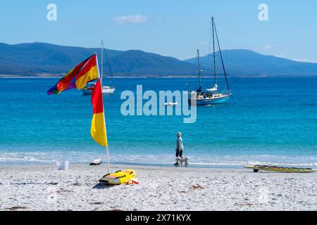 Surfen Sie in Waubs Bay, Bicheno Beach East Coast Tasmania auf der lebensrettenden Flagge auf weißem Sand Stockfoto