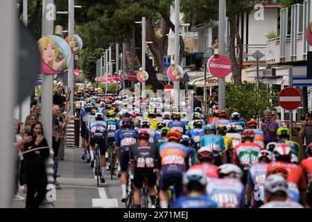 Riccione, Italien. Mai 2024. Das Rudel fährt zu Beginn der 13. Etappe des Giro d’Italia von Riccione nach Cento, 17. Mai 2024 Italien. (Foto: Marco Alpozzi/LaPresse) Credit: LaPresse/Alamy Live News Stockfoto