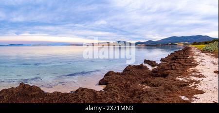 Am frühen Morgen mit ruhigem, reflektierendem Wasser am Dunalley Beach im Südosten Tasmaniens Stockfoto