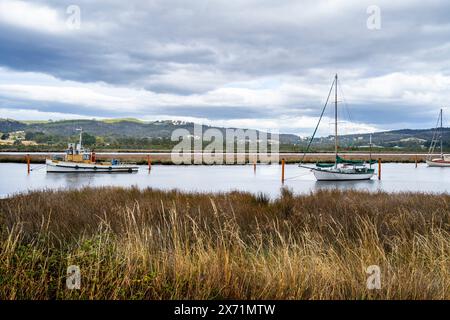 Schleppboote, die zwischen Schilfbetten im Huon River, Franklin Tasmanien, ankern Stockfoto